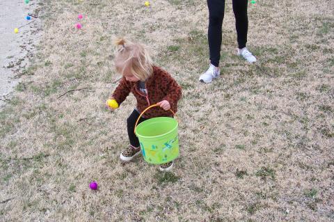 Article Image Alt Text