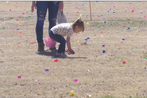 Article Image Alt Text