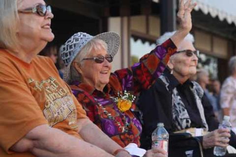 Article Image Alt Text