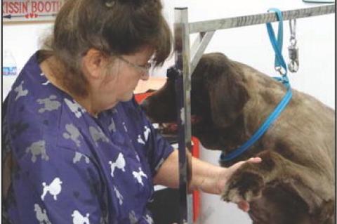 Article Image Alt Text