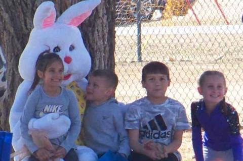 Article Image Alt Text