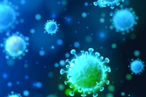 Article Image Alt Text