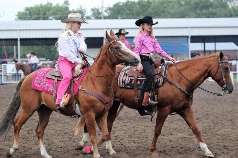 Article Image Alt Text