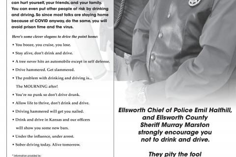 Article Image Alt Text