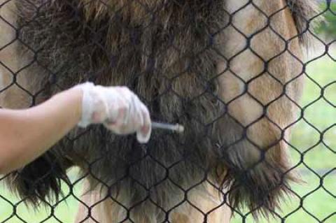 Article Image Alt Text