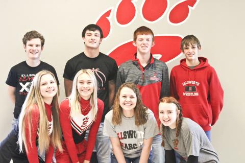 Article Image Alt Text