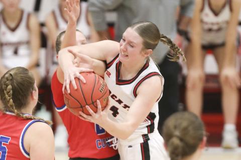 Article Image Alt Text